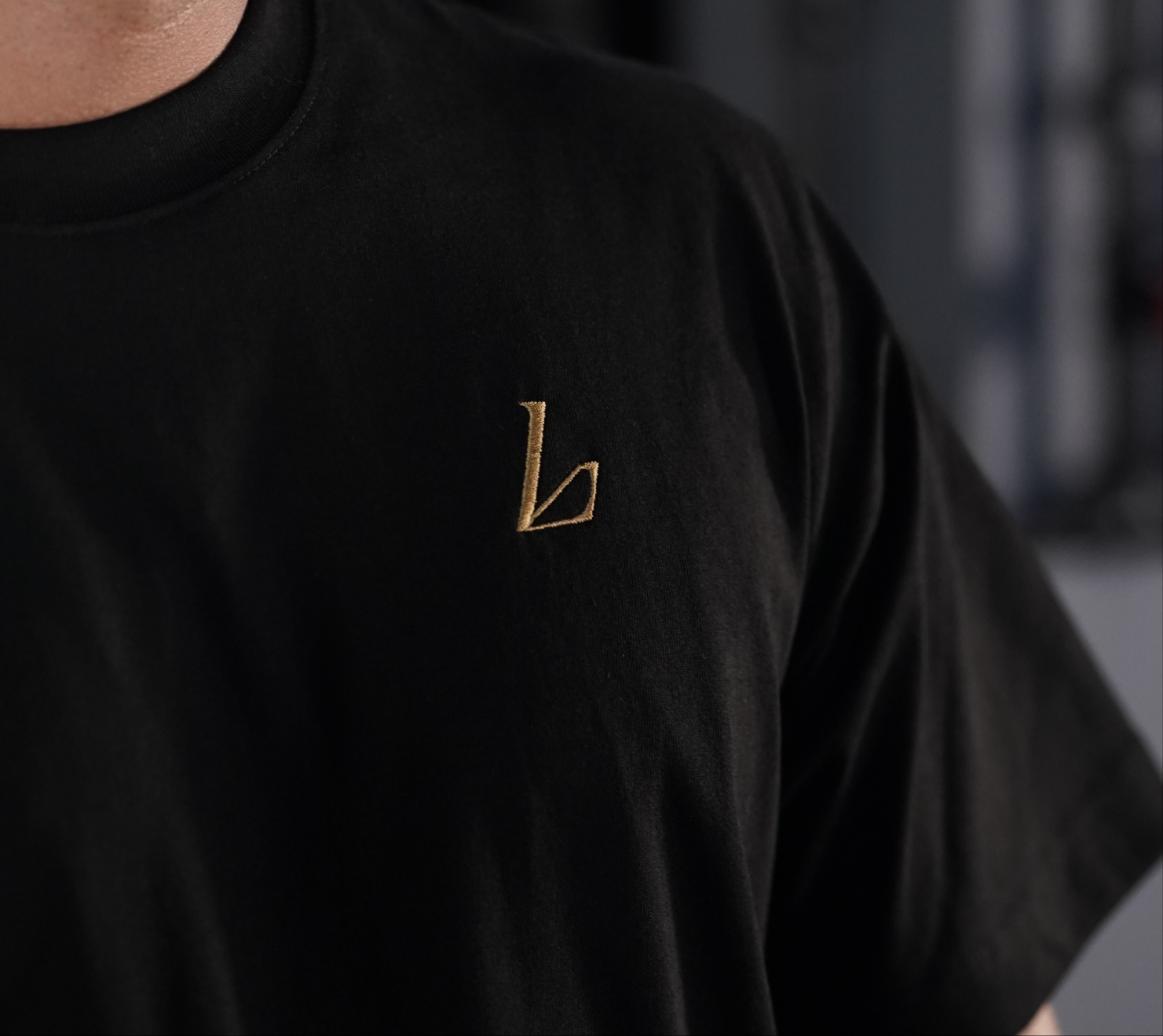 Oversize Shirt „Backprint & Logo Stitch“